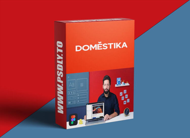Domestika – Introduction to Design Systems with Figma 1 Introduction to Design Systems with Figma