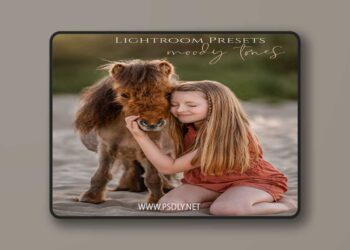 Marion Flemming Moody Tones Presets