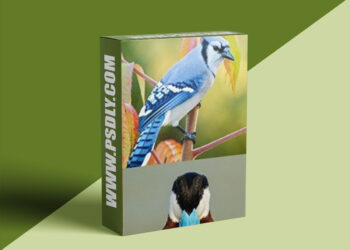 Nature Photographers Network - Glenn Bartley - Bird Photography Simplified