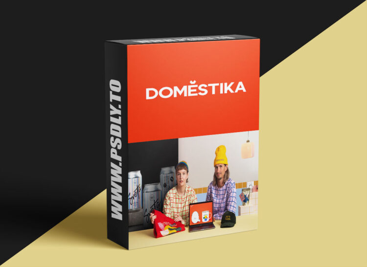 Domestika – Nordic Design Intensive Course: Complete Branding 1 Nordic Design Intensive Course: Complete Branding
