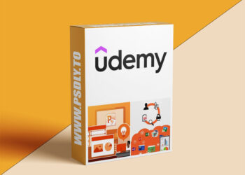 Office 365, Word, Excel, PowerPoint & Quickbooks: 5 Courses
