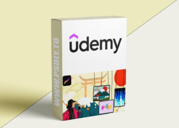 Procreate Masterclass: From Beginner to Pro