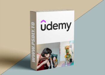Strategic Freelancing Business