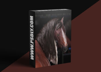 The Gnomon Workshop – Creating a Real-Time Horse Groom for Games