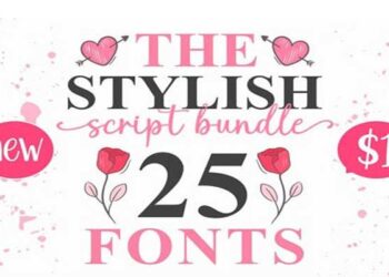 The Stylish Script Bundle 25 Premium Fonts
