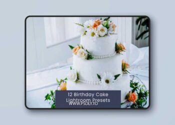 12 Birthday Cake Lightroom Presets