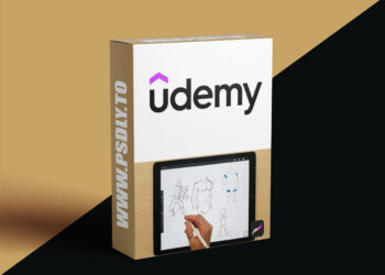Anatomy Drawing Basics: Digital Drawing in Procreate