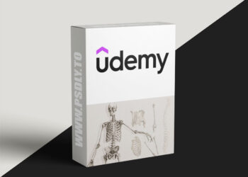 Anatomy of The Skeletal System: Zero to Hero