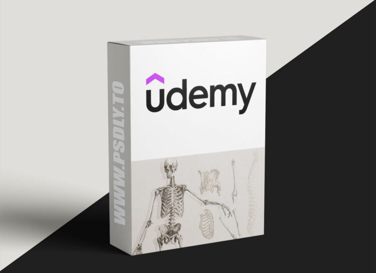 Udemy – Anatomy of The Skeletal System: Zero to Hero 1 Anatomy of The Skeletal System: Zero to Hero
