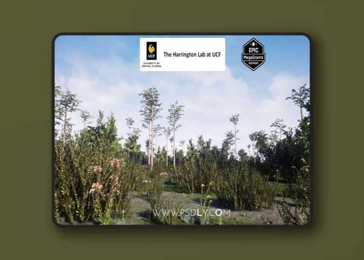 Baygall Habitat Brush (4.27 and 5.0 – 5.8) 1 Baygall Habitat Brush (4.27 and 5.0 – 5.8)