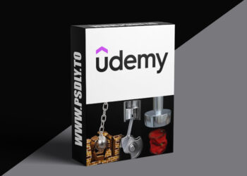 Blender Physics: Rigid Body & Soft Body Simulation