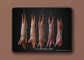 Carcasses (4.27 and 5.0 – 5.8)