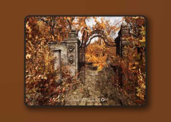 Cemetery (4.27 and 5.0 – 5.8)