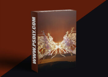 Coloso - Trendy surreal visuals, 3D artwork & VFX compositing
