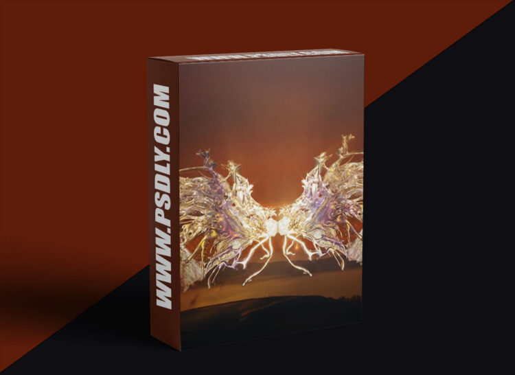 Coloso - Trendy surreal visuals, 3D artwork & VFX compositing 1 Coloso - Trendy surreal visuals, 3D artwork & VFX compositing