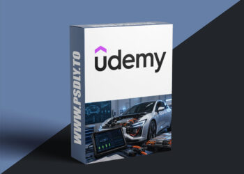 Electric Vehicle Diagnostics