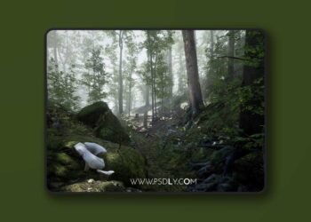 Forest - Environment Set 5.8 (June 18, 2026) [4.27 and 5.0 – 5.8]