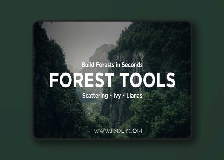 Forest Tools - Ultimate Scattering System v3.2 (5.8) 1 Forest Tools - Ultimate Scattering System v3.2 (5.8)