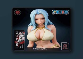 Higanbana3D – VIVI One Piece – 3D Print Model STL