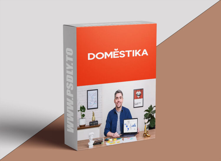 Domestika – Introduction to Performance Marketing 1 Introduction to Performance Marketing