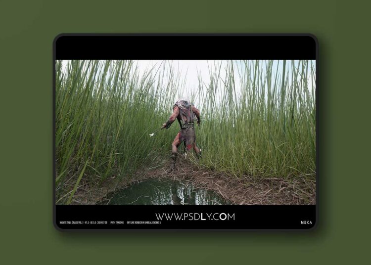 NANITE TALL GRASS v1.0 (5.3 – 5.8) for Unreal Engine 1 NANITE TALL GRASS v1.0 (5.3 – 5.8)