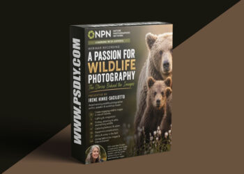Nature Photographers Network - A Passion for Wildlife Photography