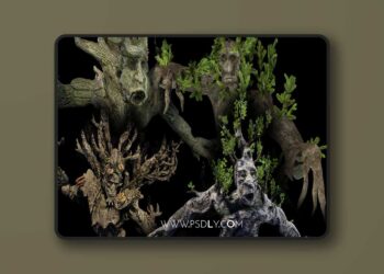 Pack of tree ents (5.0 – 5.8)