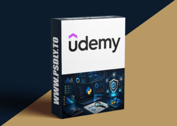 Python for IT Auditors: Controls, Fraud & GRC Analytics