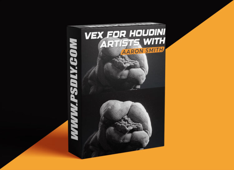 Rebelway – Vex For Houdini Artists 2024 1 Rebelway – Vex For Houdini Artists 2024