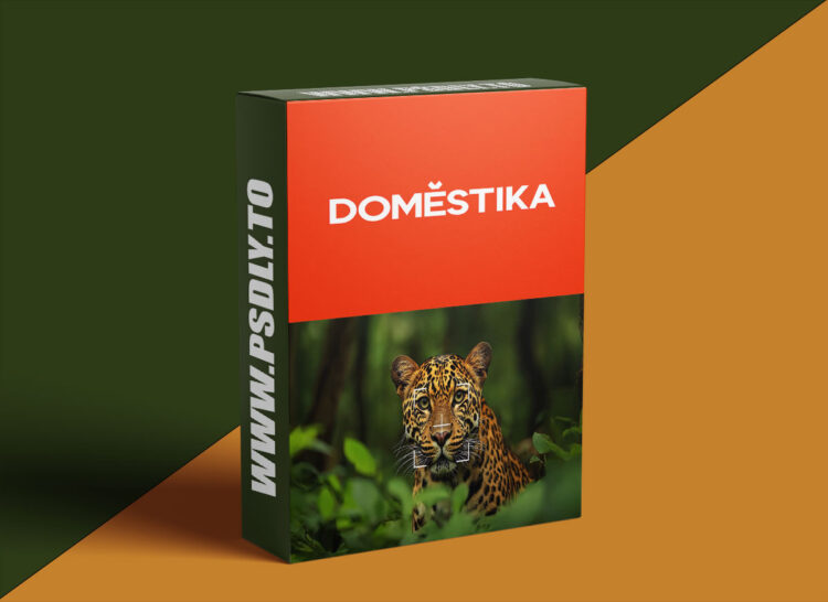 Domestika – Specialization in Documentary Photography 1 Specialization in Documentary Photography