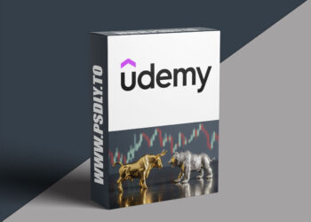 Stock Market Foundations & Investing Strategies