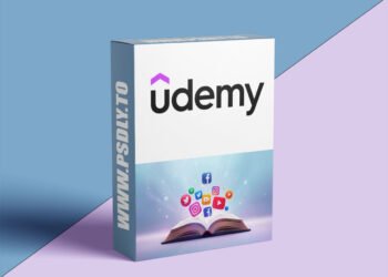 THE CONTENT CREATOR'S BIBLE