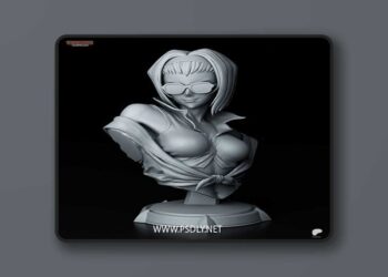 Tanuki Figures – Faye – Cowboy Bebop Bust – 3D Print Model STL