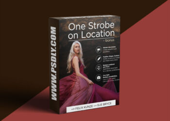 The Portrait Masters - One Strobe on Location