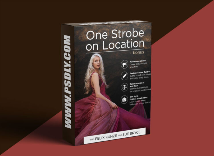 The Portrait Masters - One Strobe on Location 1 The Portrait Masters - One Strobe on Location