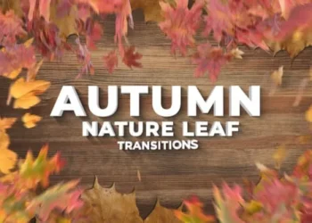 Videohive Autumn Leaf Nature Thanksgiving Day Transitions 64390860