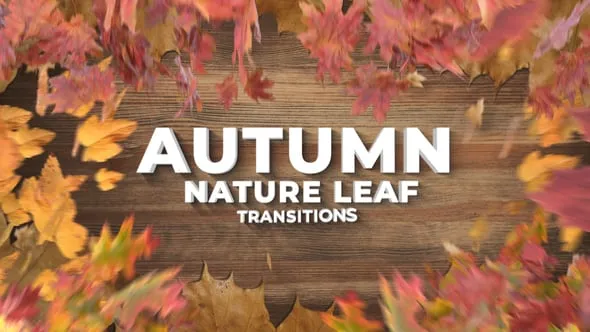 Videohive - Autumn Leaf Nature Thanksgiving Day Transitions - 64390860 1 Videohive Autumn Leaf Nature Thanksgiving Day Transitions 64390860