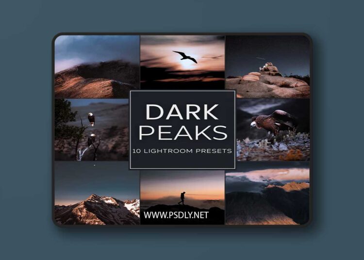 Woodland - Dark Peaks Lightroom Preset Pack 1 Woodland Dark Peaks Lightroom Preset Pack