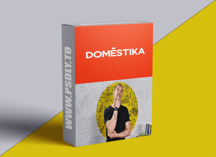 Domestika – Advertising Creativity for all Audiences 1 Advertising Creativity for all Audiences