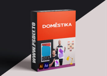 Animated Infographics with Illustrator and After Effects