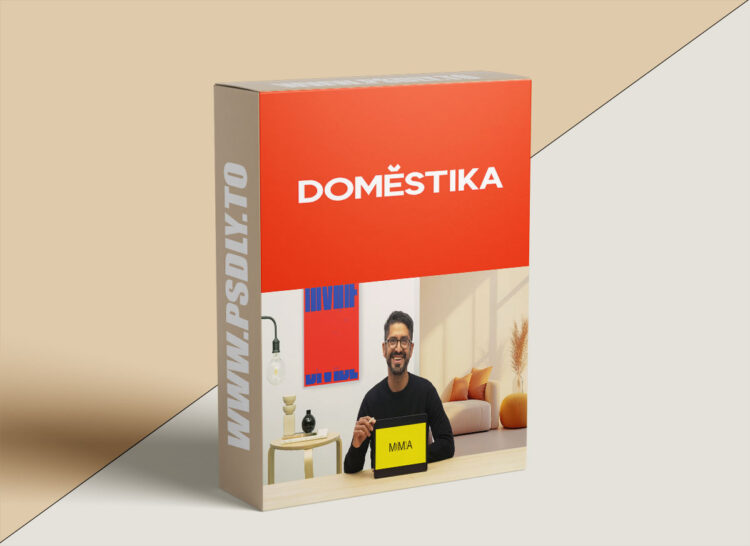 Domestika – Branding for Cultural Organizations: Build Strong and Memorable Identities 1 Branding for Cultural Organizations: Build Strong and Memorable Identities