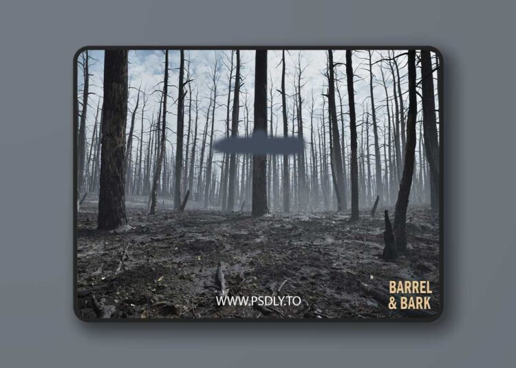 Burnt Forest Aftermath Environment (5.6 – 5.8) 1 Burnt Forest Aftermath Environment (5.6 – 5.8)