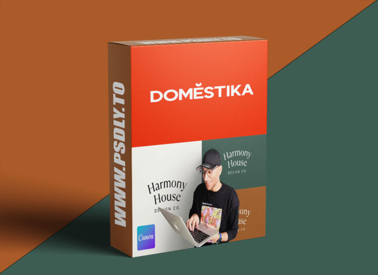 Domestika – Creating Stunning Designs Using Canva's Magic Features 1 Creating Stunning Designs Using Canva's Magic Features