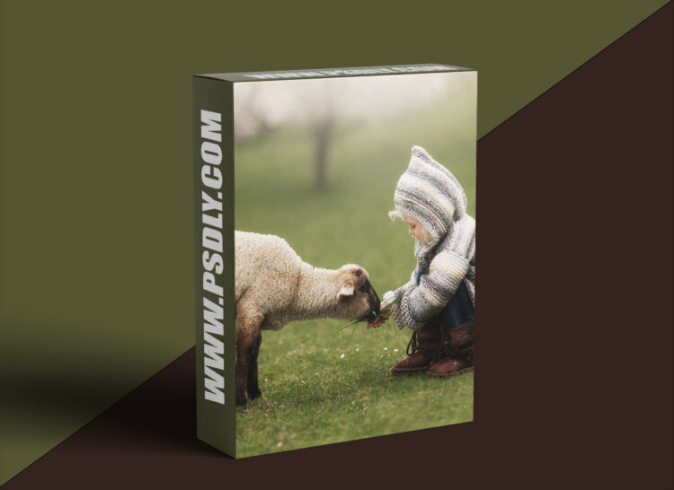 Daniel Venter - Amy had a Little Lamb 2021 1 Daniel Venter - Amy had a Little Lamb 2021