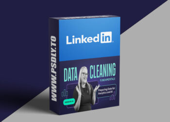 Data Cleaning Fundamentals: Preparing Data for Analytics and AI