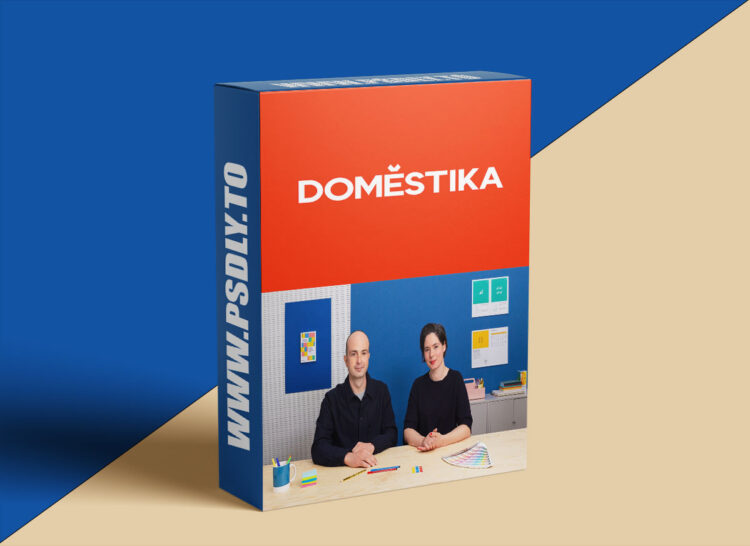 Domestika – Data Visualization Course: Turning Data into Art 1 Data Visualization Course: Turning Data into Art