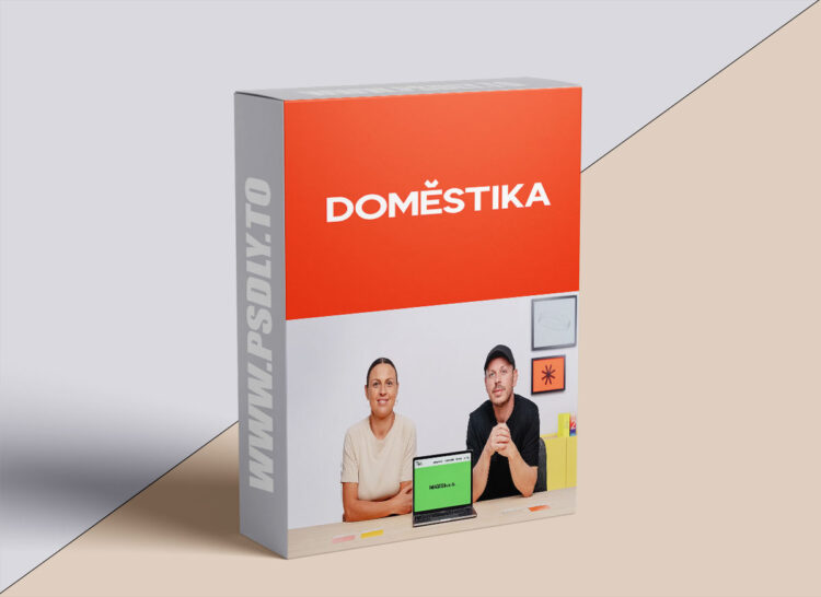 Domestika – Dynamic Logos: From Concept to Animation 1 Dynamic Logos: From Concept to Animation