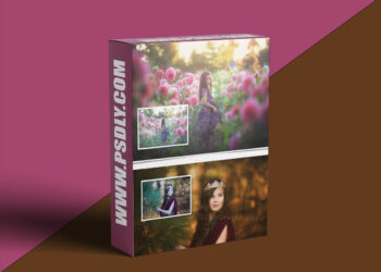 Finding North Educational - Creating Captivating Images