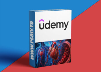 Mastering in Fundamentals of the Cardiovascular System