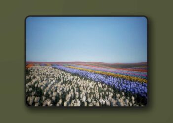 Nanite Foliage - Tulip (5.1 – 5.8)